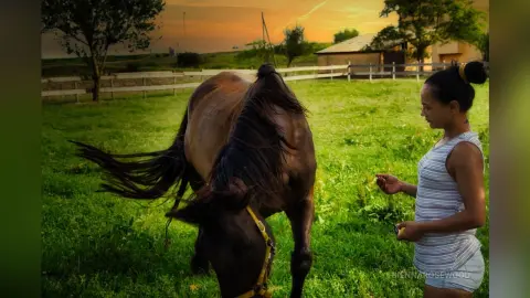 Woman in a white tank top petting a brown horse in a lush green field during a golden sunset.