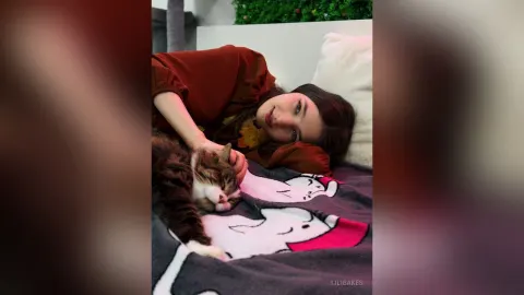 LiliBakes — meow meow 🐈
