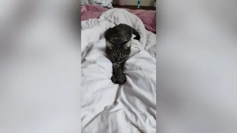 RadianceLana — My favorite Splyushka😸(My pussy)