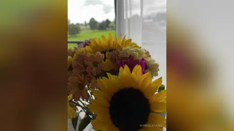 Vibrant bouquet of yellow sunflowers and pink wildflowers in a bright, sunlit window setting.