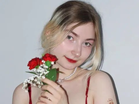 SandaPlocek cam model