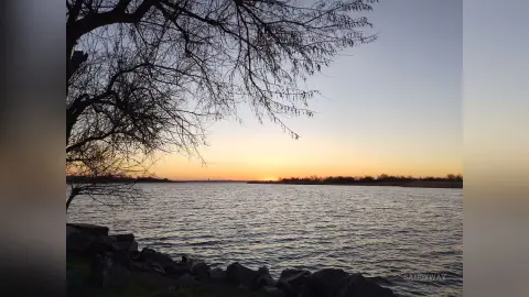 Serene sunset over a calm lake viewed through silhouetted tree branches at golden hour.