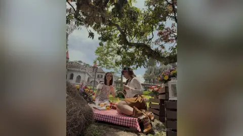 LauriSweet sits outdoors under a large tree, wearing a white top and brown skirt while sitting on a red and white checkered picnic blanket.