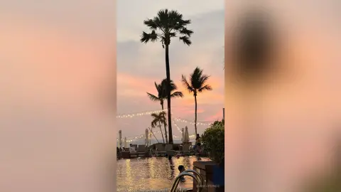 BiankaPerese stands near a swimming pool surrounded by tall palm trees under a sunset sky.
