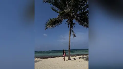 Woman in a pink summer dress standing on a sunny tropical beach under a tall palm tree.