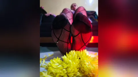 LexDome — feet