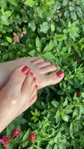 Close-up of bare feet with red nail polish resting against lush green garden foliage.