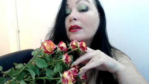 AuraCrina — Spring Roses and Me