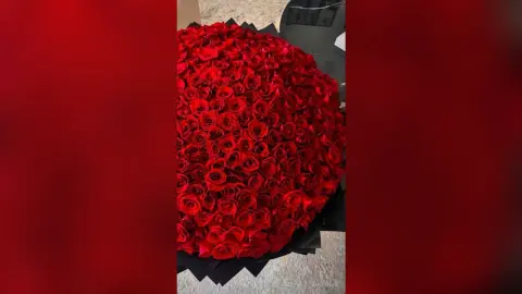 A massive, romantic pile of vibrant red rose blossoms creating a lush floral background.