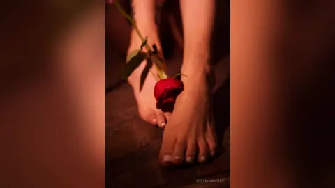 TefyRodriguez — gallery