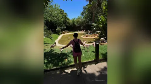 Alexa — Marbella🩵