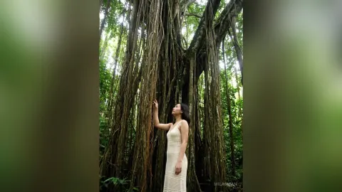 MilaSwan — MilaSwan stands in a lush green forest wearing a white sleeveless dress while touching the hanging roots of a massive tree.