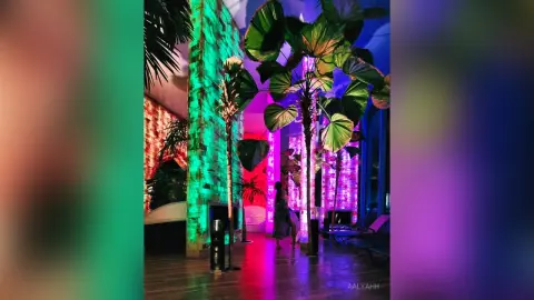 Aalyahh stands in a tropical setting with large green leaves and bright pink and green lights, wearing a dark dress or outfit.