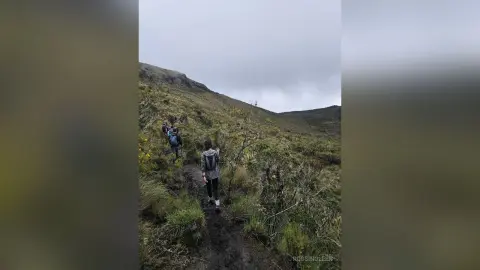 Hikers with backpacks trekking up a grassy mountain trail under a cloudy sky during an outdoor adventure.