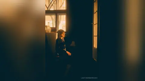 MarylouHaws — More of me