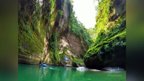 RossiNoleen paddles a small blue boat through a narrow, lush canyon filled with bright green mossy rock walls and clear turquoise water.