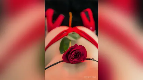 MeredithRose — HAPPY VALENTINE'S DAY
