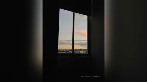 ReginaSteinfeld — Moments