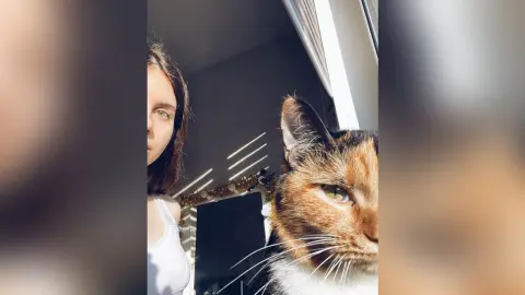 Young woman in a white tank top taking a selfie with a calico cat in bright, sunny indoor lighting.