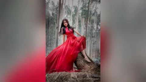 AlejandraHayek — red rose