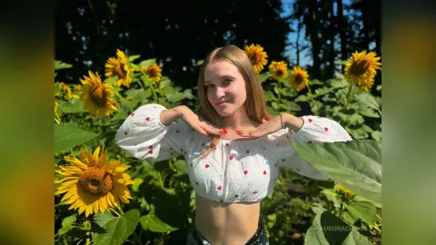 AuroraCruise — Sunflowers