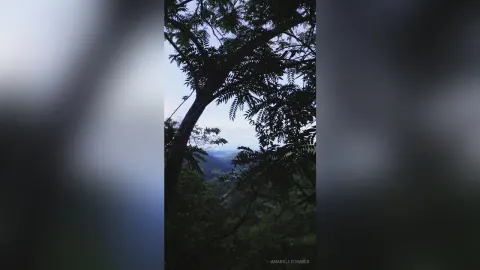 AnabelleCharis — Nature