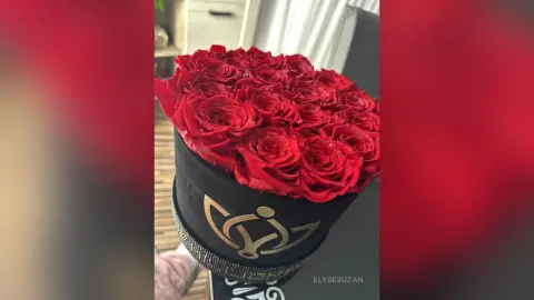 ElyseSuzan — Spoil me from guys🎁