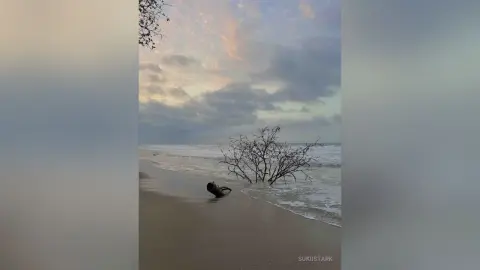 SukiiStark — 🌊🏖️