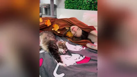 LiliBakes — meow meow 🐈