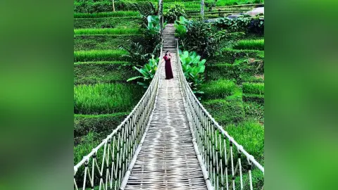 LisaReynolds — My trip to Bali