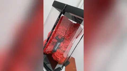 Elegant red rose arrangement in a luxury clear gift box with black decorative ribbons.
