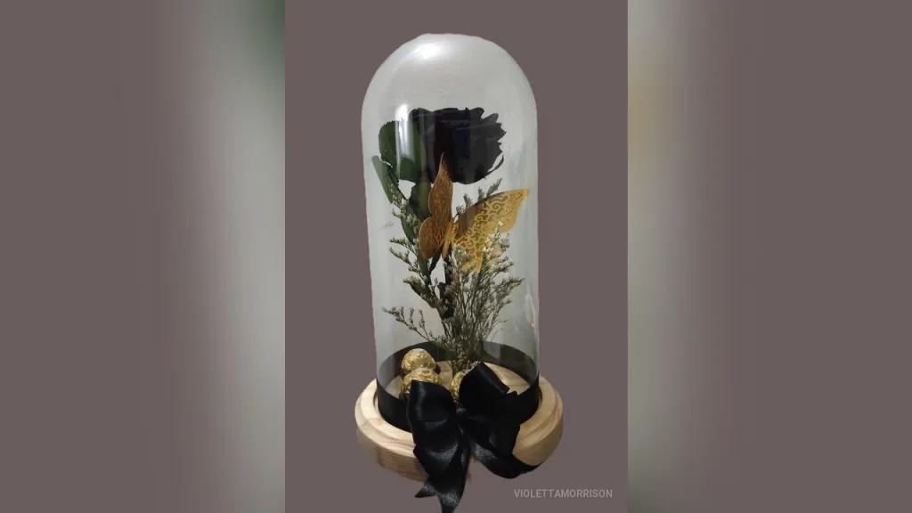Violettamorrison — My rose