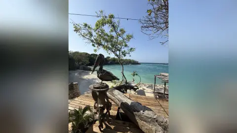 A wooden pelican statue sits on a rustic deck overlooking a calm tropical beach under a clear blue sky.