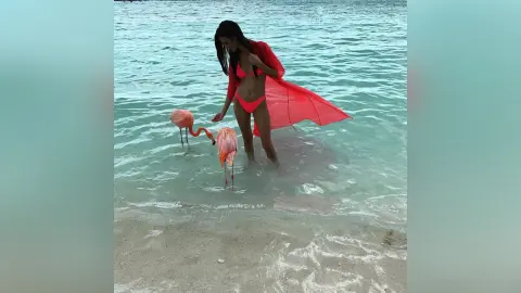 Missy — aruba holiday