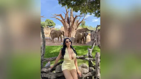 Violeta — 🏖️