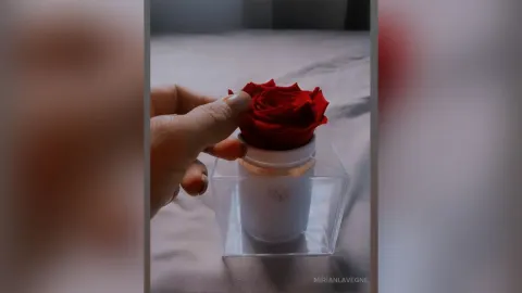 MirianLavegne — hot