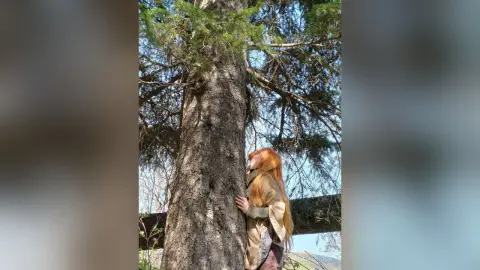 Redheaded woman in a beige jacket leaning against a large pine tree in a sunny forest setting.