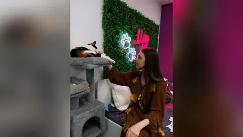 LiliBakes — meow meow 🐈