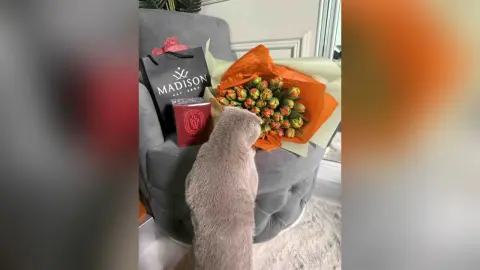 DenisePerry — Spoiled meeeeee
