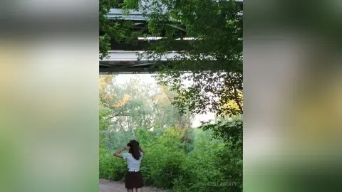 StellaWerty — nature🌵
