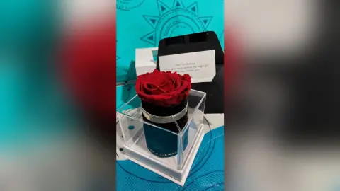 FarahLucy — Rose 🥰🌹