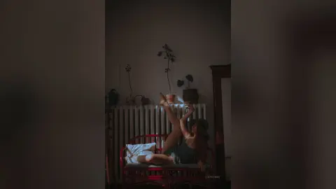 LucyStrike — .