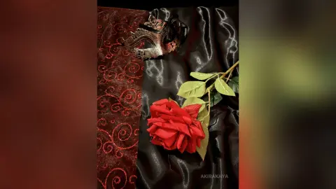 Elegant red rose and ornate masquerade mask on luxurious black and patterned crimson fabric background.