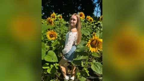 AuroraCruise — Sunflowers