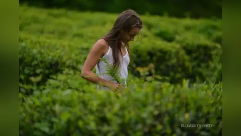 Serene woman in a white tank top walking through a lush green tea plantation field.