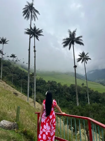 CamilaDilucas — Streamate Photos