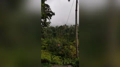 SereneRose — Amazing BALI