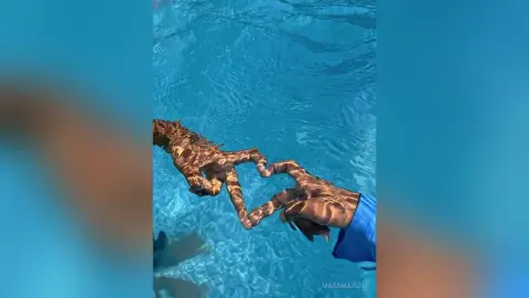 Two people making a heart shape with their hands underwater in a clear blue swimming pool.