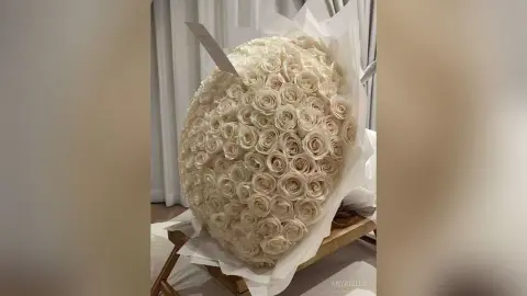 Large luxury bouquet of cream white roses wrapped in white paper on a wooden stand for a romantic gift.