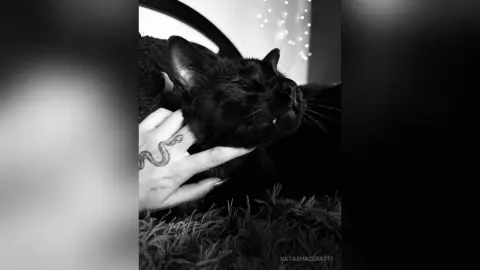 NatashaCeratti — A little bit of me ✨